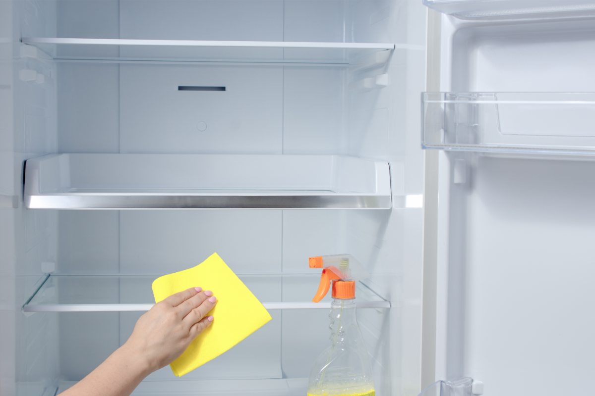 Frigo pulizie