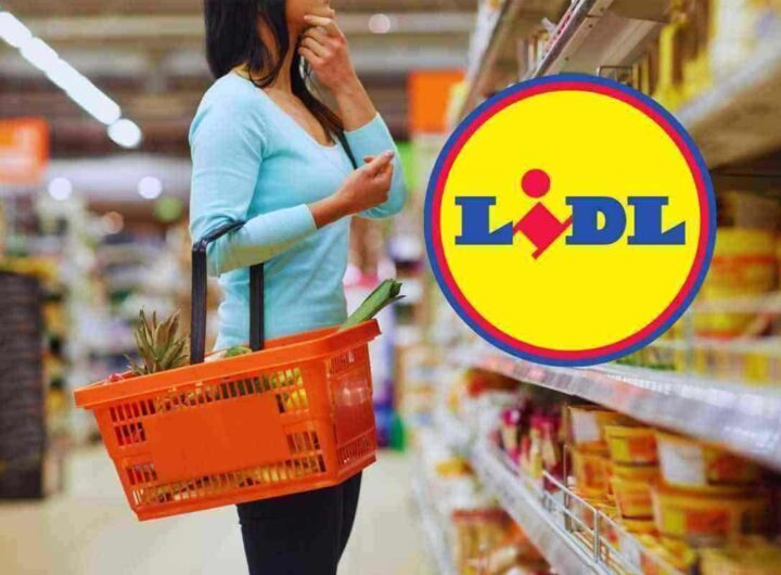 Lidl lancia il prodotto perfetto per la tua estate