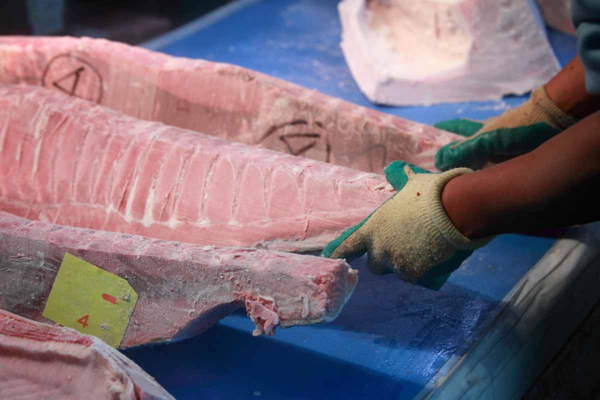 Pesce surgelato
