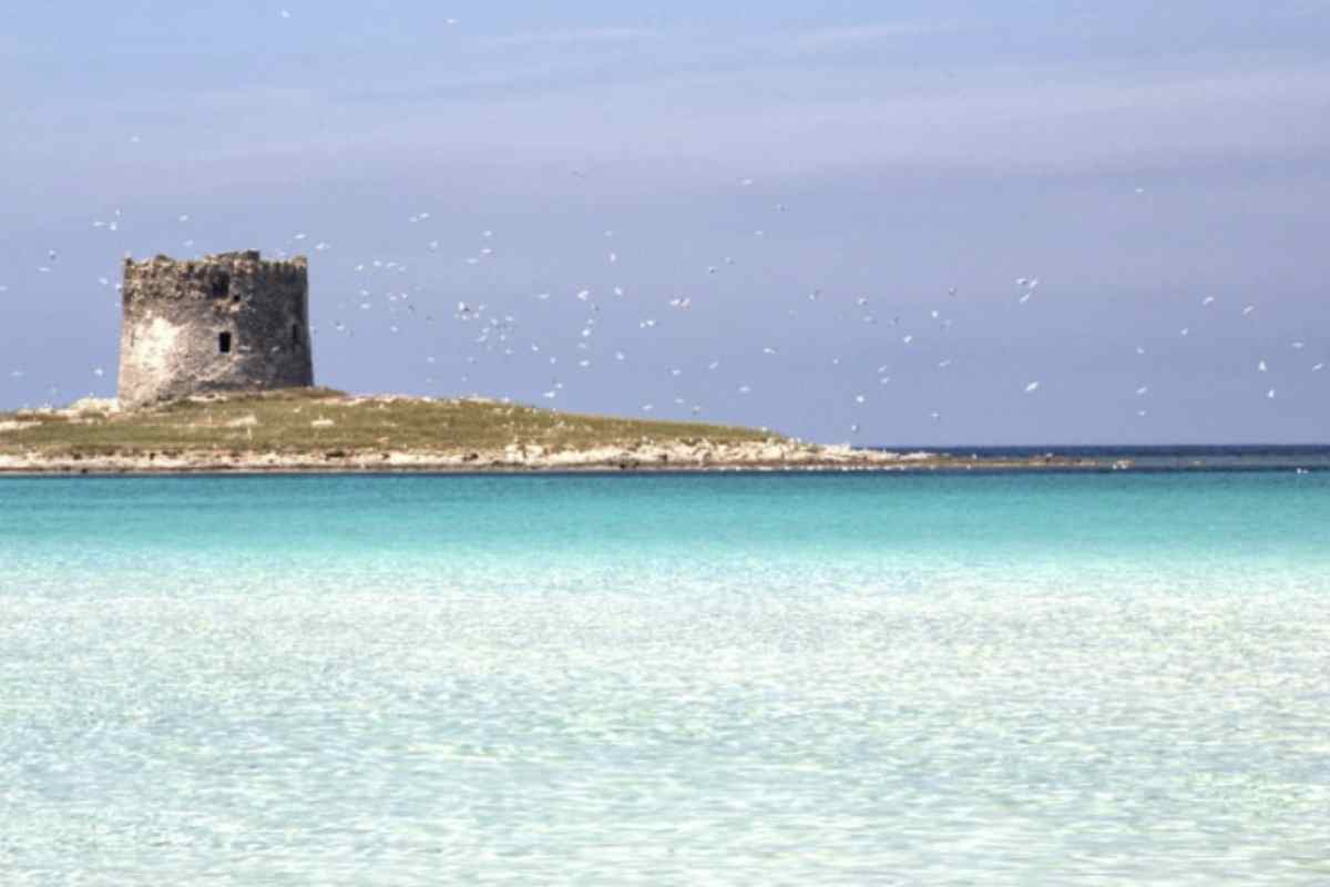 Il borgo di Stintino, fondato ufficialmente il 14 agosto 1885, ha origini legate alla creazione di una stazione sanitaria e colonia penale sull’Isola dell’Asinara.