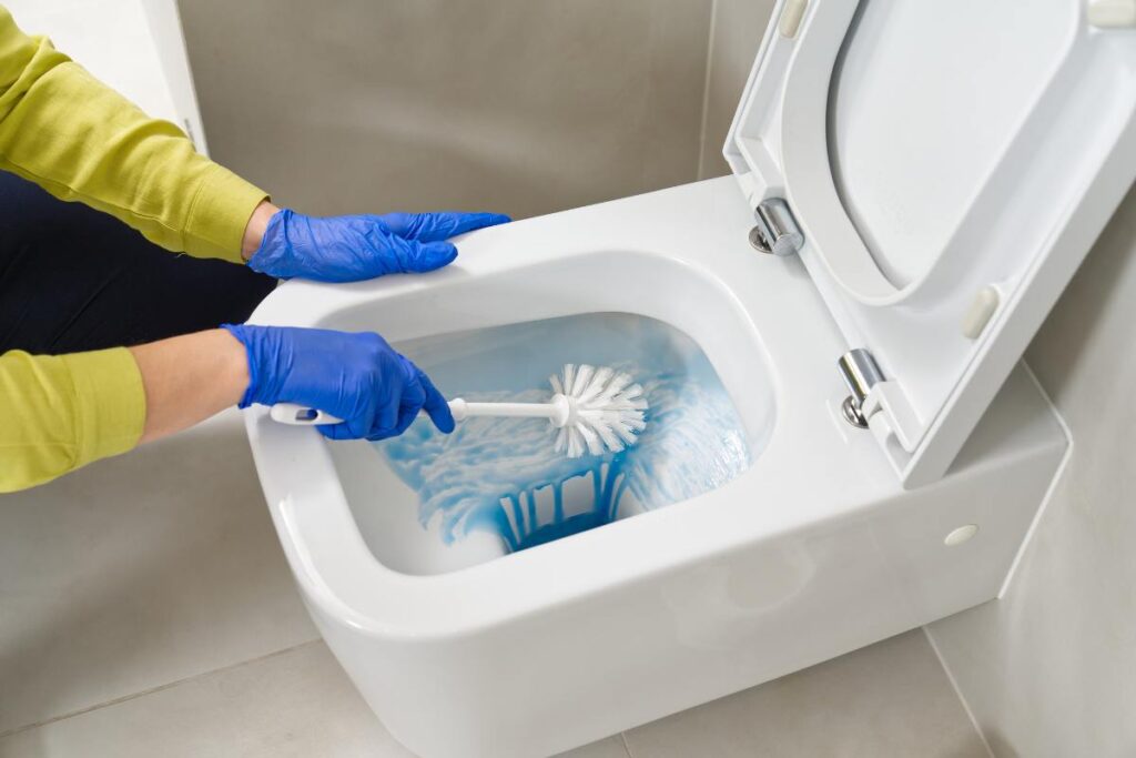 Wc pulizie