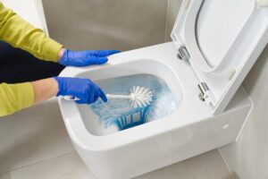 Wc pulizie