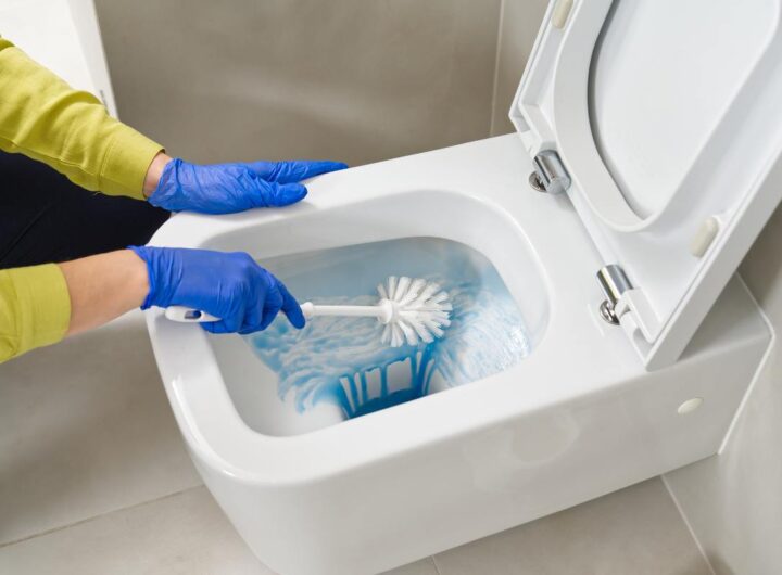 Wc pulizie