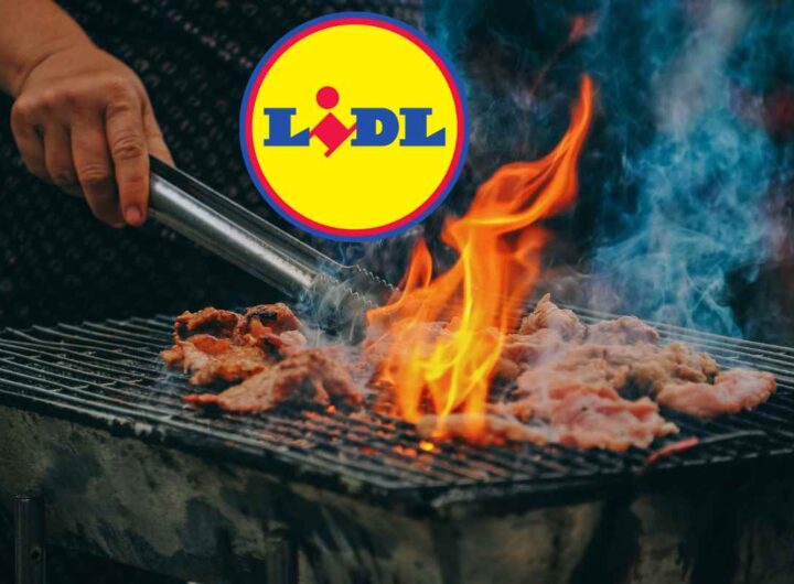 Lidl, ti fai barbecue nuovo senza spendere un occhio della testa