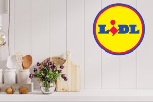 salvaspazio Lidl che ti cambia la vita a meno di 30 euro