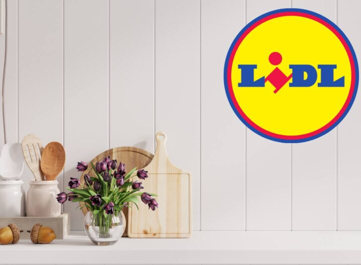 salvaspazio Lidl che ti cambia la vita a meno di 30 euro