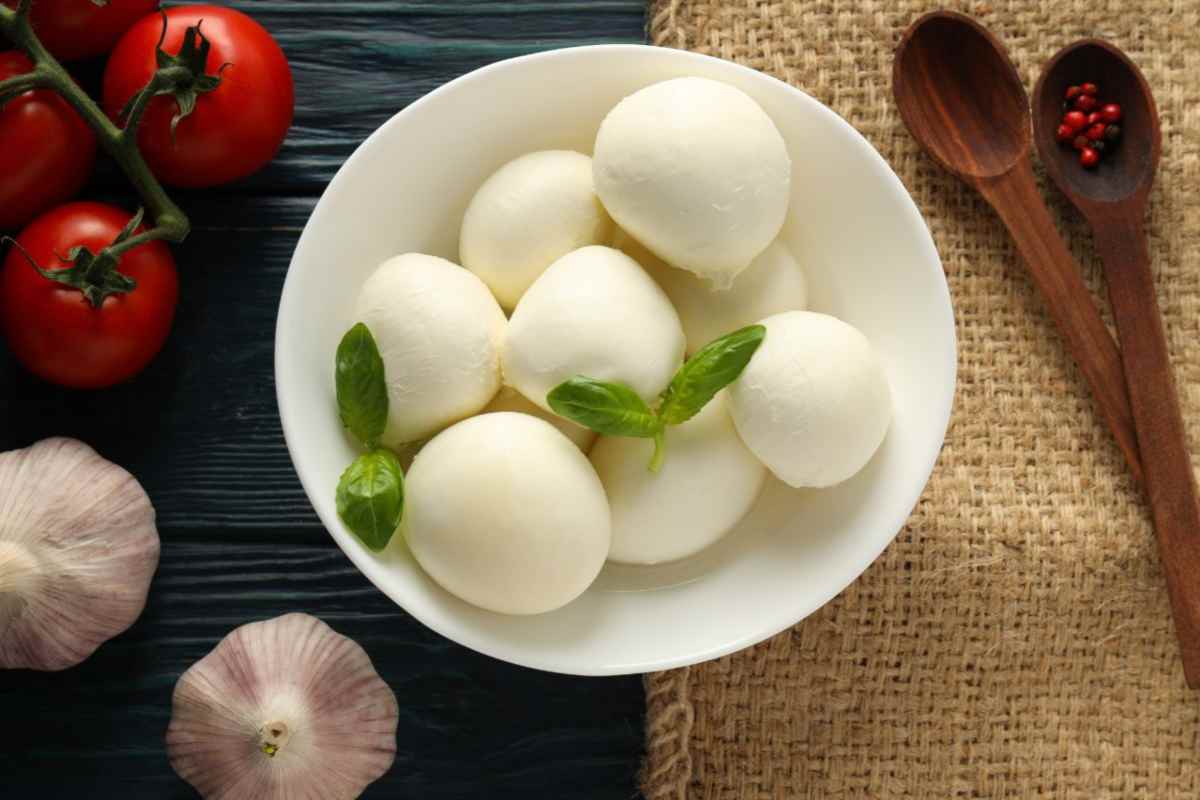 mozzarella