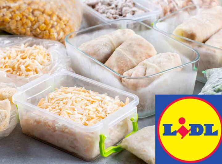 surgelati lidl
