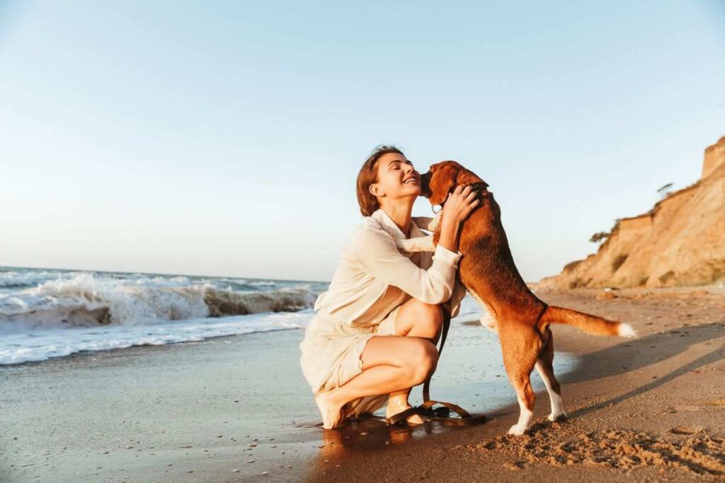 al mare con il cane è un tuo diritto: tutto quello che devi sapere