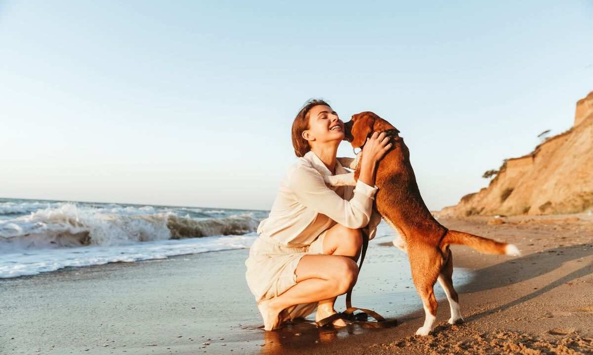 al mare con il cane è un tuo diritto: tutto quello che devi sapere