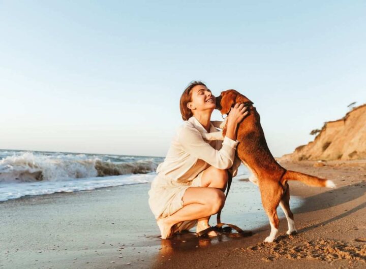 al mare con il cane è un tuo diritto: tutto quello che devi sapere
