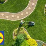 giardino lidl