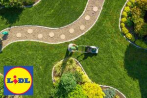 giardino lidl