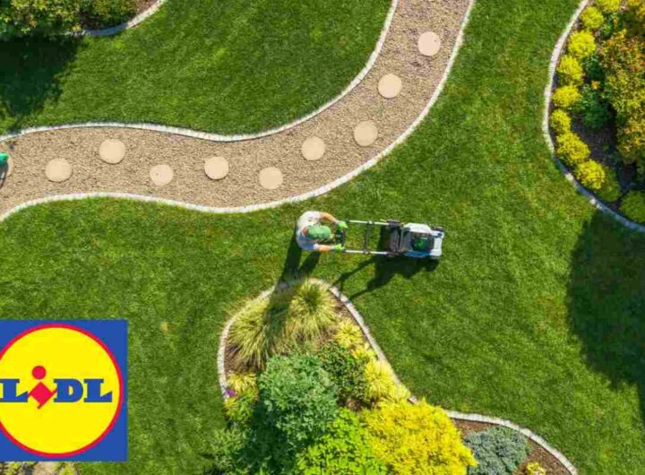 giardino lidl