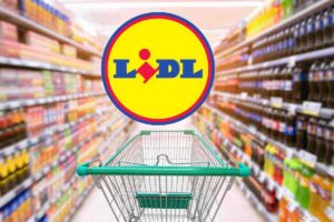 da Lidl lo porti a casa a poco più di 1 euro: di cosa si tratta