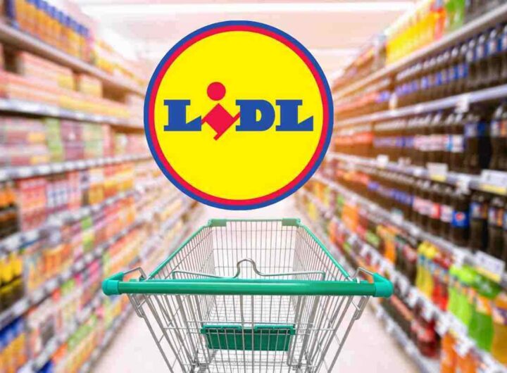 da Lidl lo porti a casa a poco più di 1 euro: di cosa si tratta