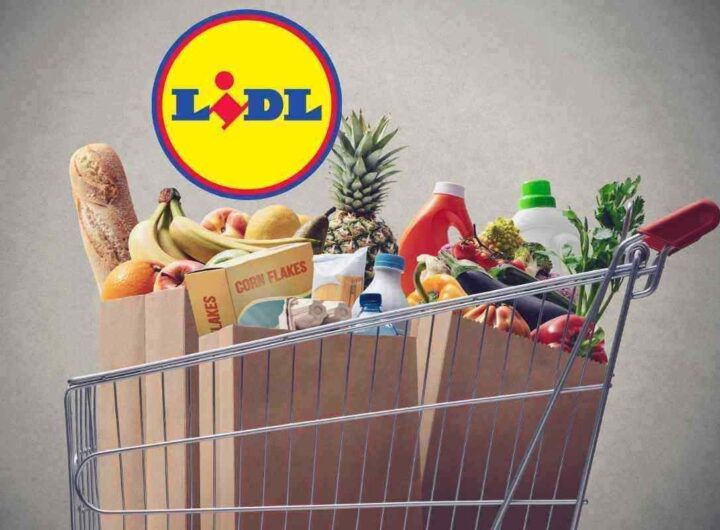 Lidl, per una settimana mangi da Re spendendo meno di 20 euro