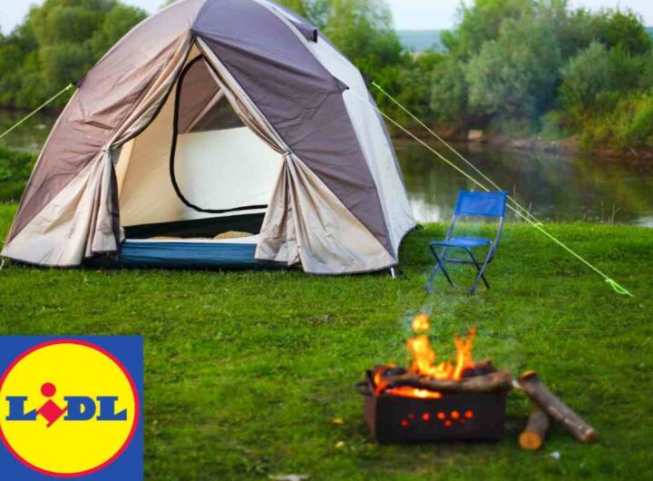 tenda lidl
